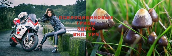 мяу мяу кристалл Надым