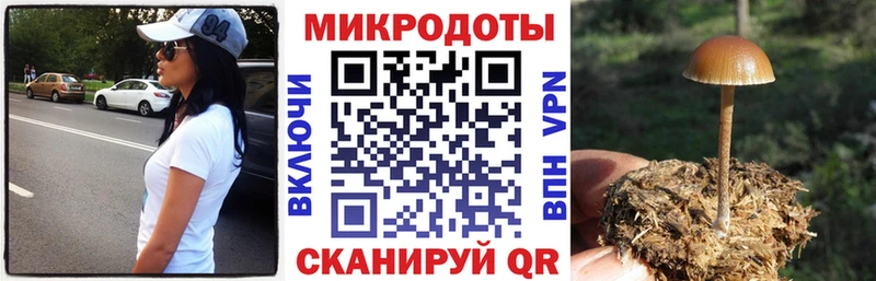 Галлюциногенные грибы мицелий  как найти закладки  Нефтегорск 