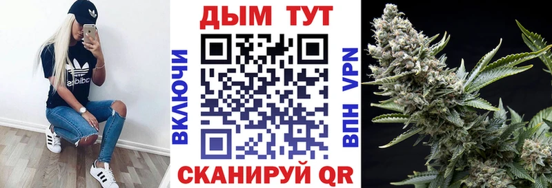 купить   Нефтегорск  Канабис Amnesia 